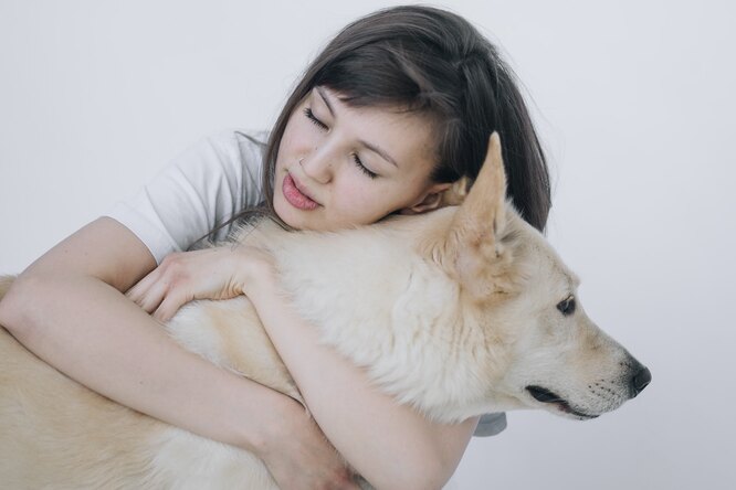 Восьмилетняя девочка прошла сквозь снега, чтобы вылечить пса - свежие новости на Toplenta