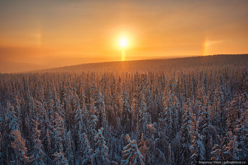 Тайга зимой с высоты - свежие новости на Toplenta