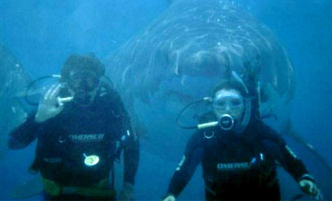 Секреты бездны, случайно попавшие на камеры дайверов - свежие новости на Toplenta по теме Стран