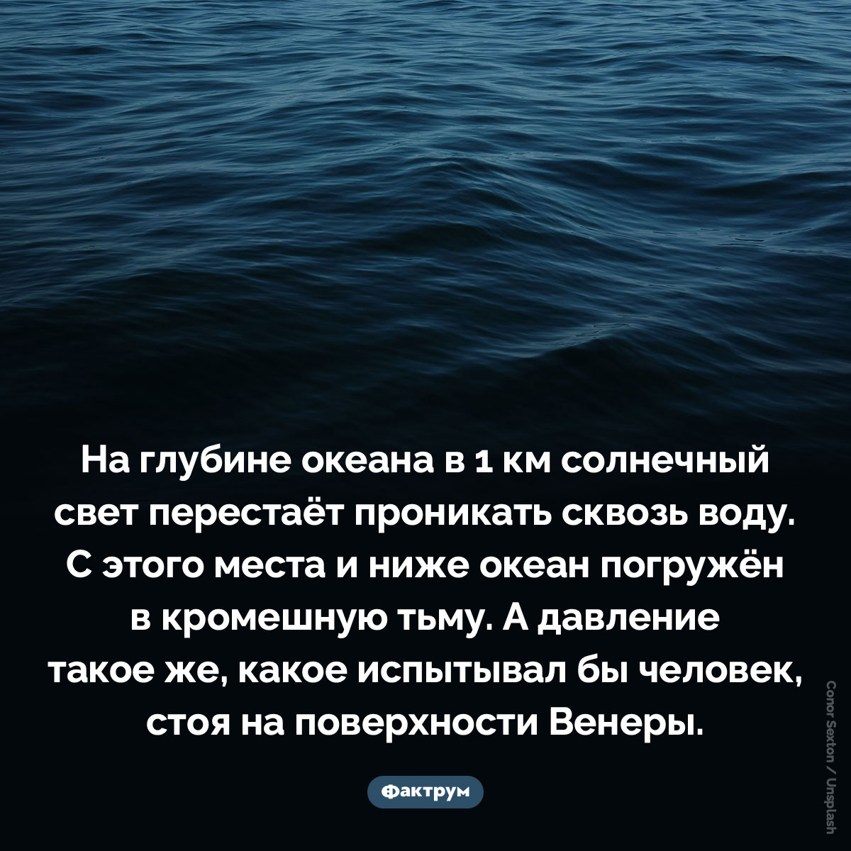 Солнечный свет проникает в океан только до глубины в 1000 м - свежие новости на Toplenta по теме Факты в картинках