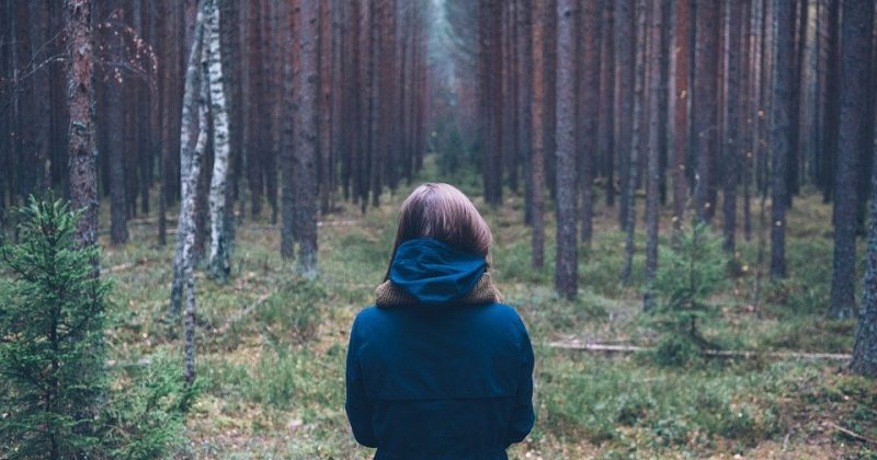 Таежная Лолита, или Почему многодетная отшельница Анна Антипина вернулась к людям - свежие новости на Toplenta по теме ИБ