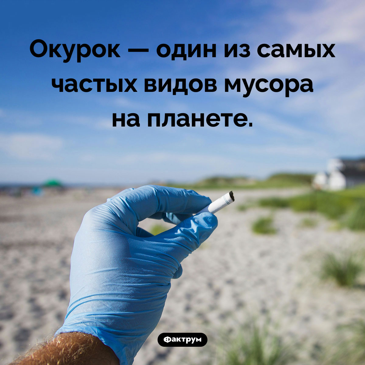 Один из самых частых видов мусора - свежие новости на Toplenta по теме табак