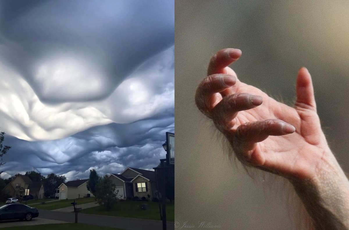 22 фото, которые помогут оценить величие матушки-природы - свежие новости на Toplenta по теме По