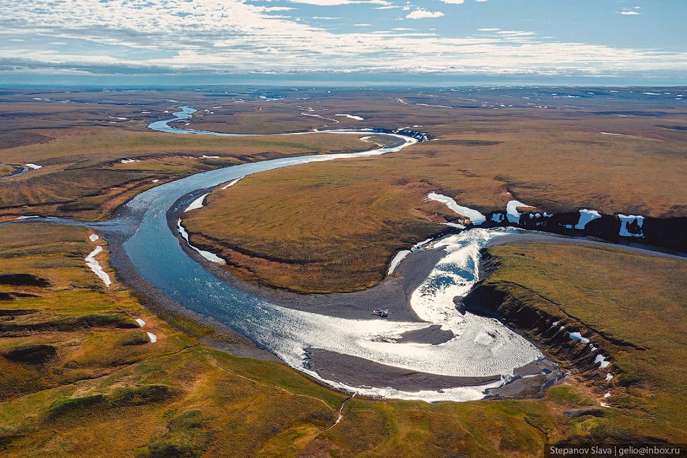 Таймыр — самый большой полуостров России - свежие новости на Toplenta по теме тундра