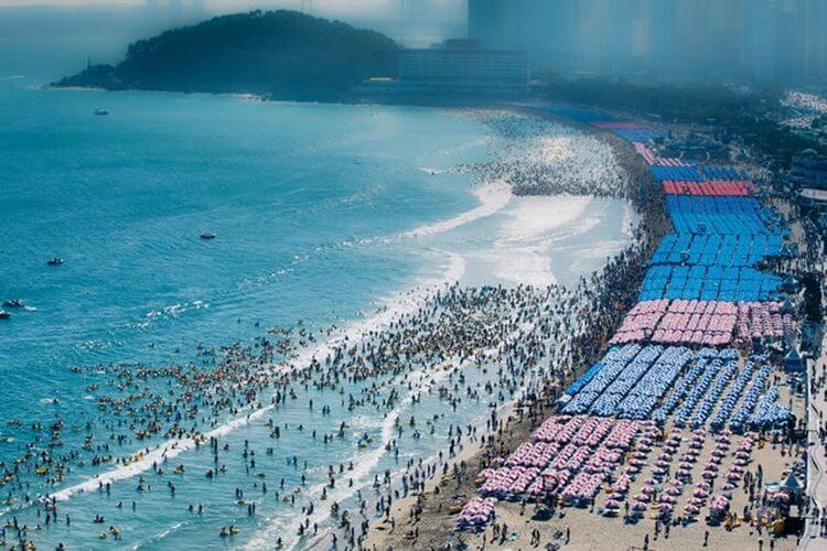 Жертвами этой природной опасности становятся сотни курортников - свежие новости на Toplenta по теме отдых на природе