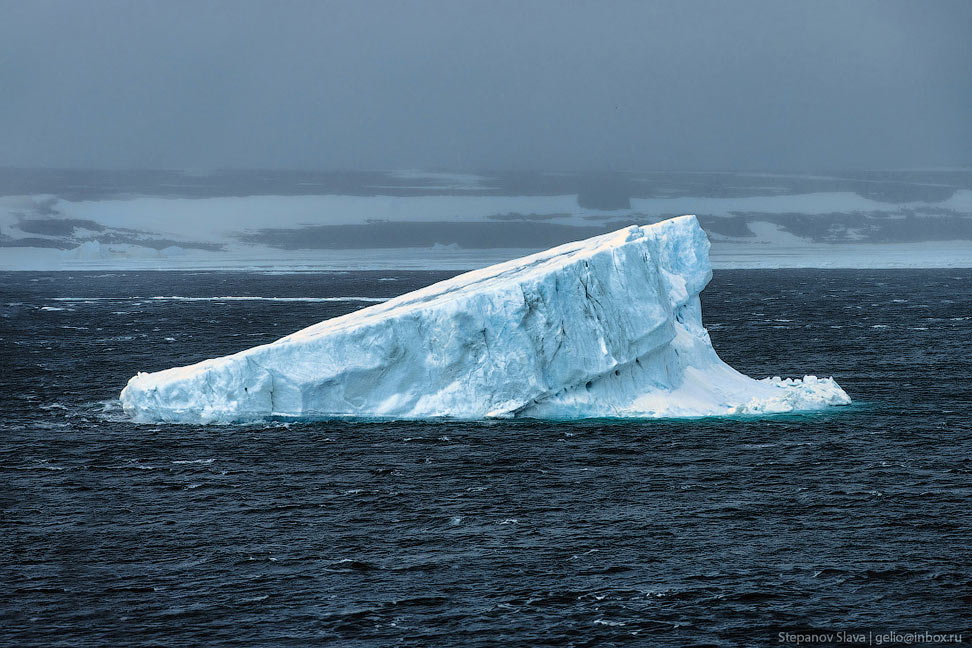 Айсберги - свежие новости на Toplenta по теме сбер