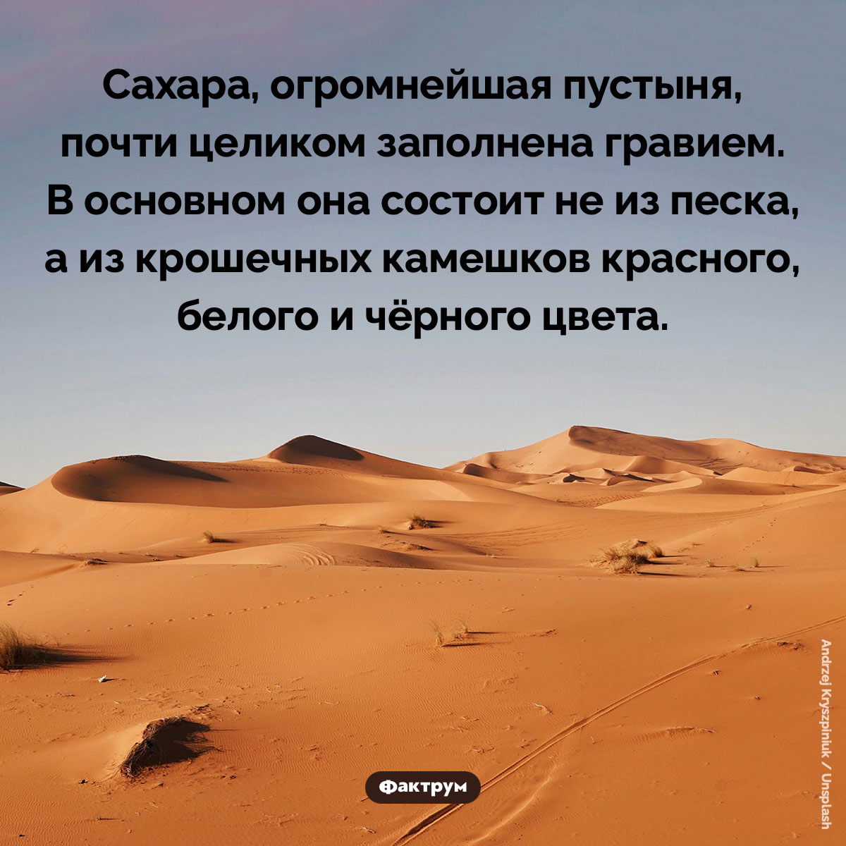 Большая часть Сахары покрыта не песком - свежие новости на Toplenta по теме 02.08.2025