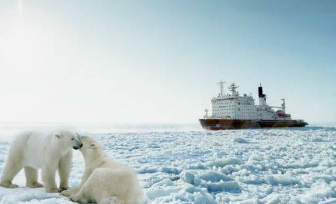 Атомный ледокол Таймыр изнутри. Как устроен покоритель Арктики - свежие новости на Toplenta по теме РАН