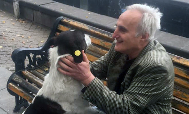 Мужчина шел по улице и увидел потерянную 3 года назад собаку: реакция питомца на видео - свежие новости на Toplenta по теме иа