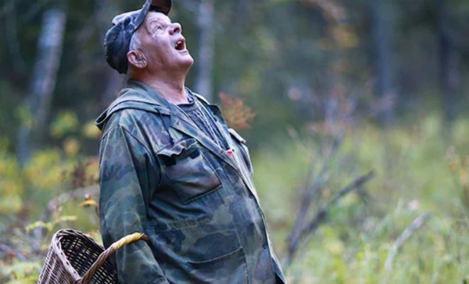 Как не заблудиться в лесу: хитрости егерей - свежие новости на Toplenta