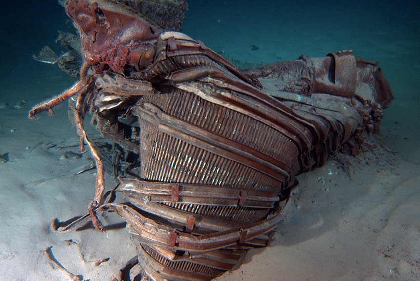 Что скрывают глубины: 10 необычных находок с морского дна - свежие новости на Toplenta