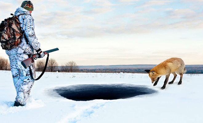 Лиса вышла на охотников и позвала за собой. В глубокой яме в лесу они увидели человека - свежие новости на Toplenta по теме общество