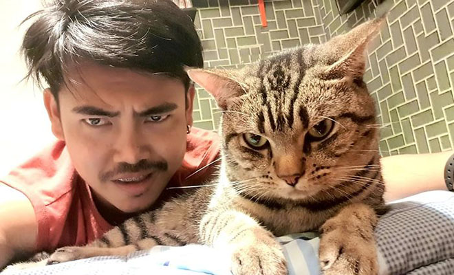 Мужчина установил в комнате камеру и увидел, что кот каждую ночь садится рядом с лицом и смотрит на него - свежие новости на Toplenta по теме общество