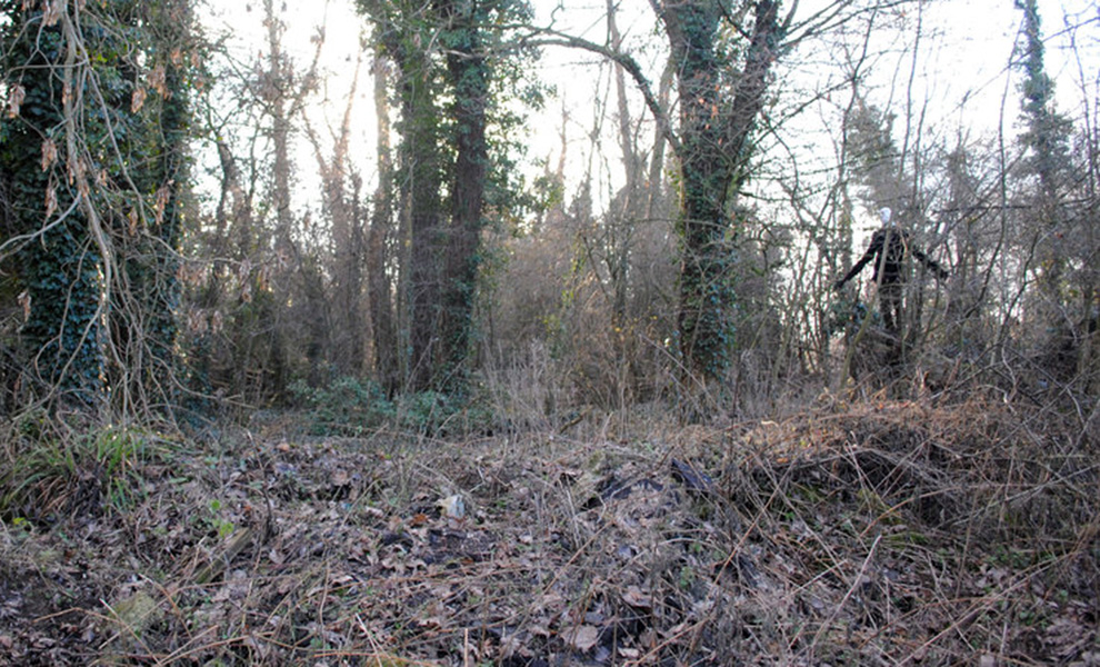 Мужчина заметил в лесу движение и включил камеру: на дереве было существо похожее на человека, но меньшего роста - похожая новость на Toplenta