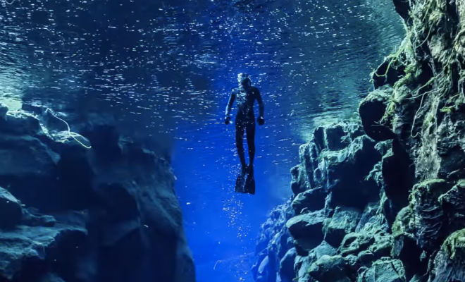 Существа из «мертвой зоны» океана: их почти никто не видел - свежие новости на Toplenta по теме Наук