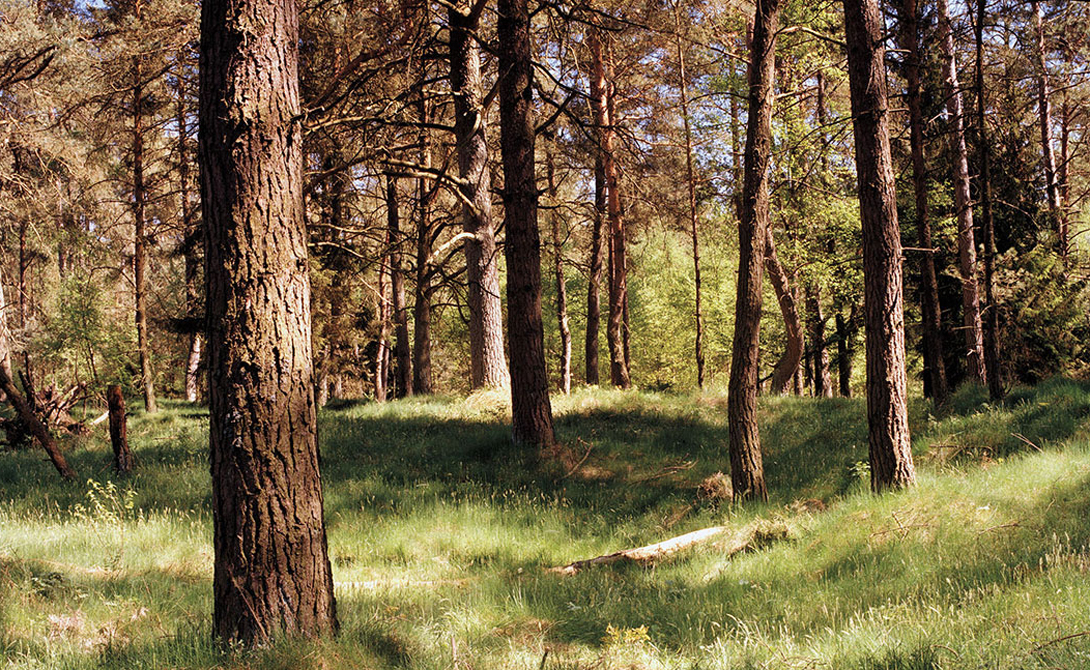 Найди снайпера: как работает невидимый камуфляж - актуальные новости по теме Саймон меннер на Toplenta