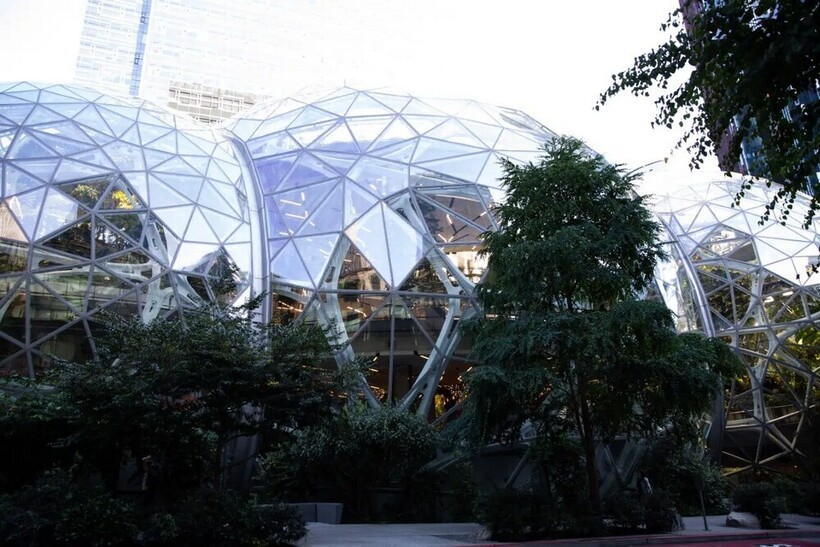 Джунгли посреди офиса: как выглядит штаб-квартира Amazon - похожая новость на Toplenta