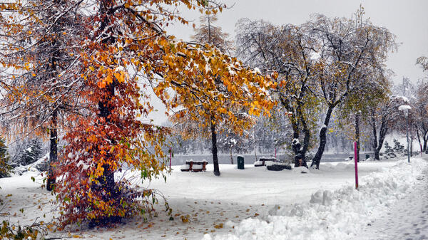 Синоптик Ильин назвал точную дату наступления климатической зимы — снег ляжет плотным покровом - похожая новость на Toplenta