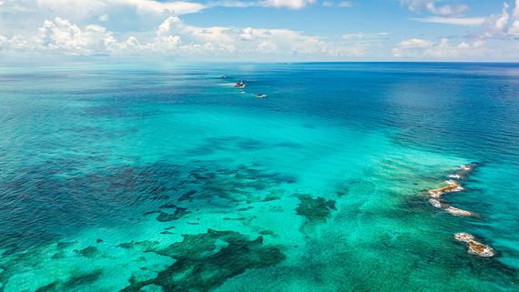 Британия перестала делиться разведывательными данными с США о Карибском море - свежие новости на Toplenta