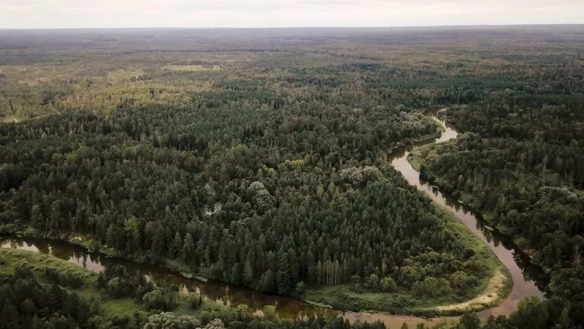 Марийская тайга: путешествие по российской амазонке - свежие новости на Toplenta по теме тв
