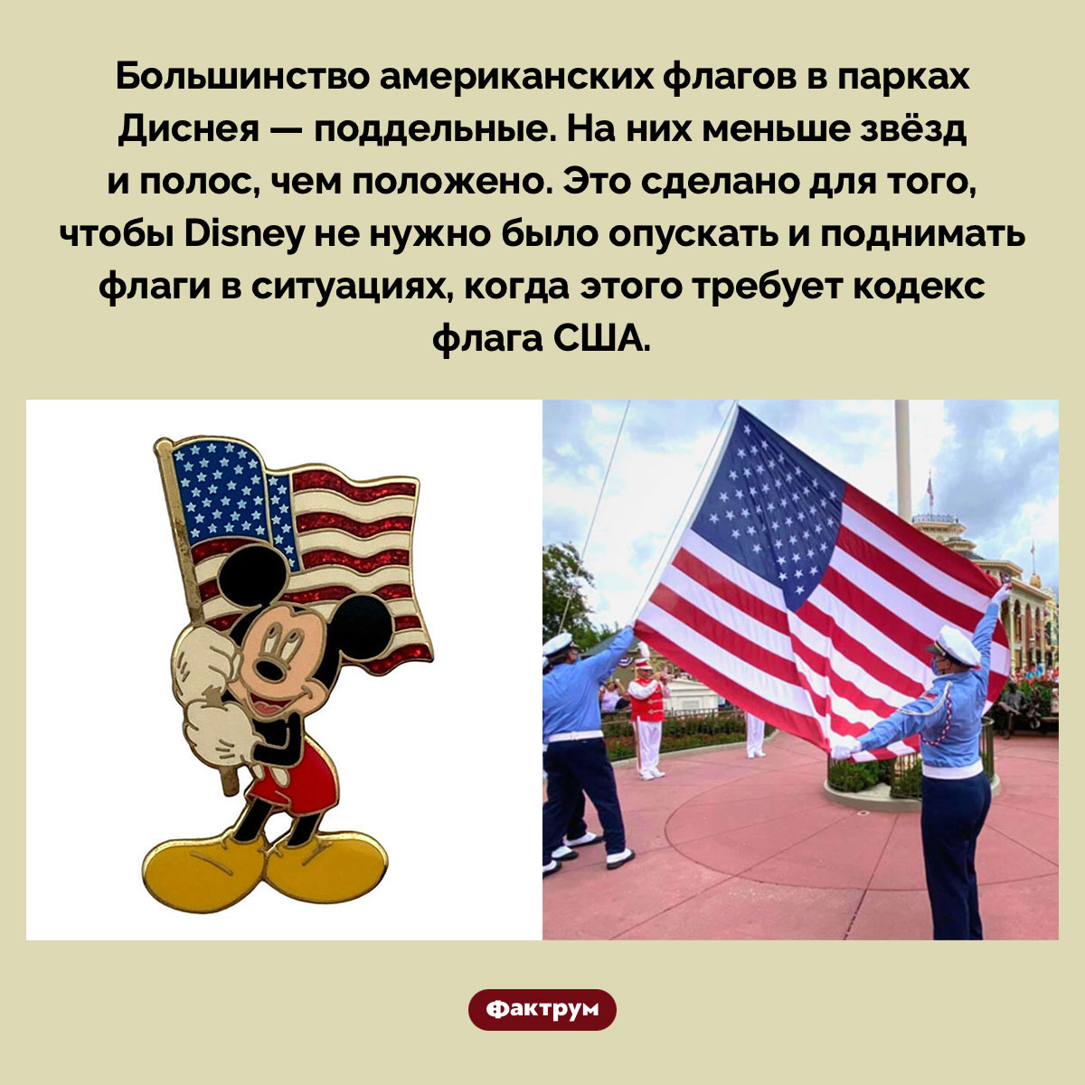 Американские флаги в Диснейлендах — поддельные - свежие новости на Toplenta по теме Факт