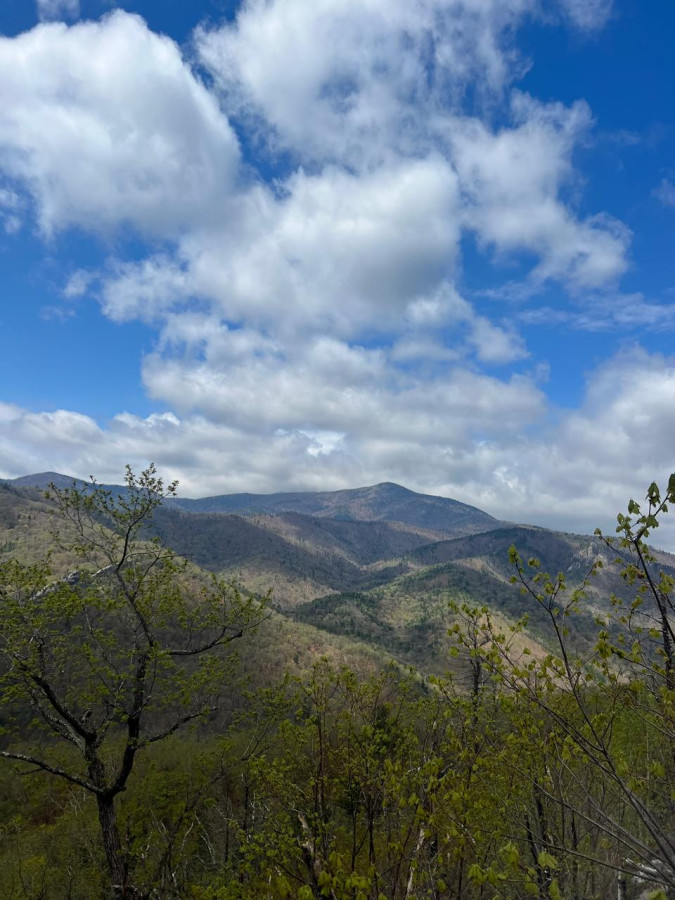 Весенняя красота в Приморском крае - свежие новости на Toplenta по теме Среда