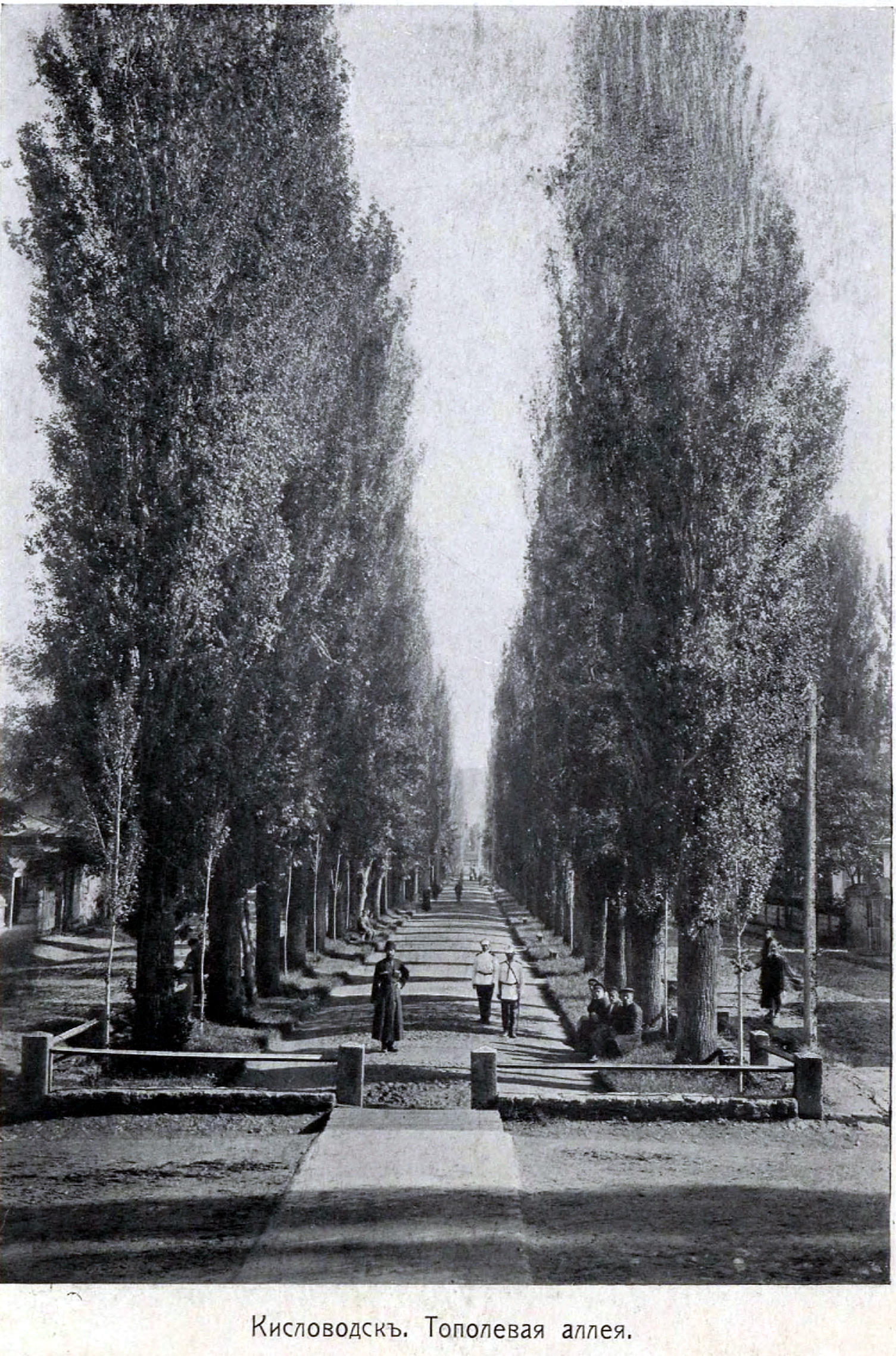 Альбом видов Кавказа. Часть 1 - свежие новости на Toplenta по теме Область