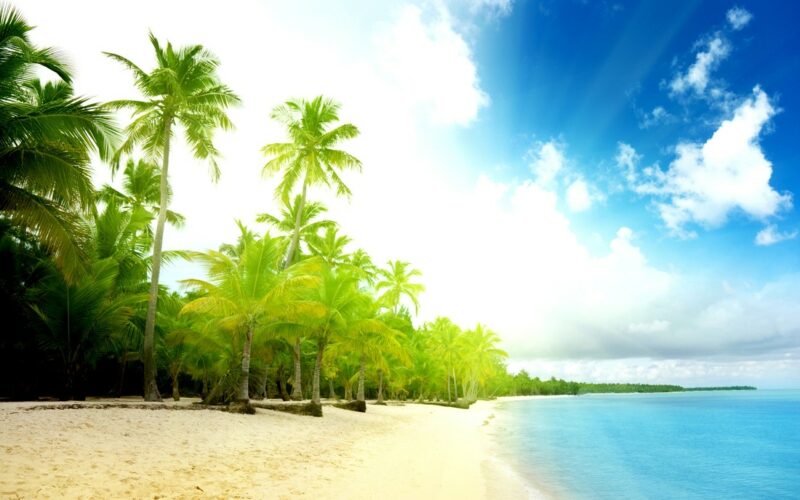 22 удивительных пляжа с белоснежным песком - свежие новости на Toplenta по теме Белый