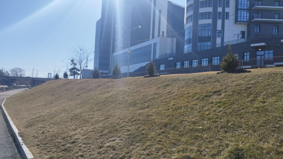 Весенняя прогулка по берегу реки Кача в Красноярске - свежие новости на Toplenta по теме Среда