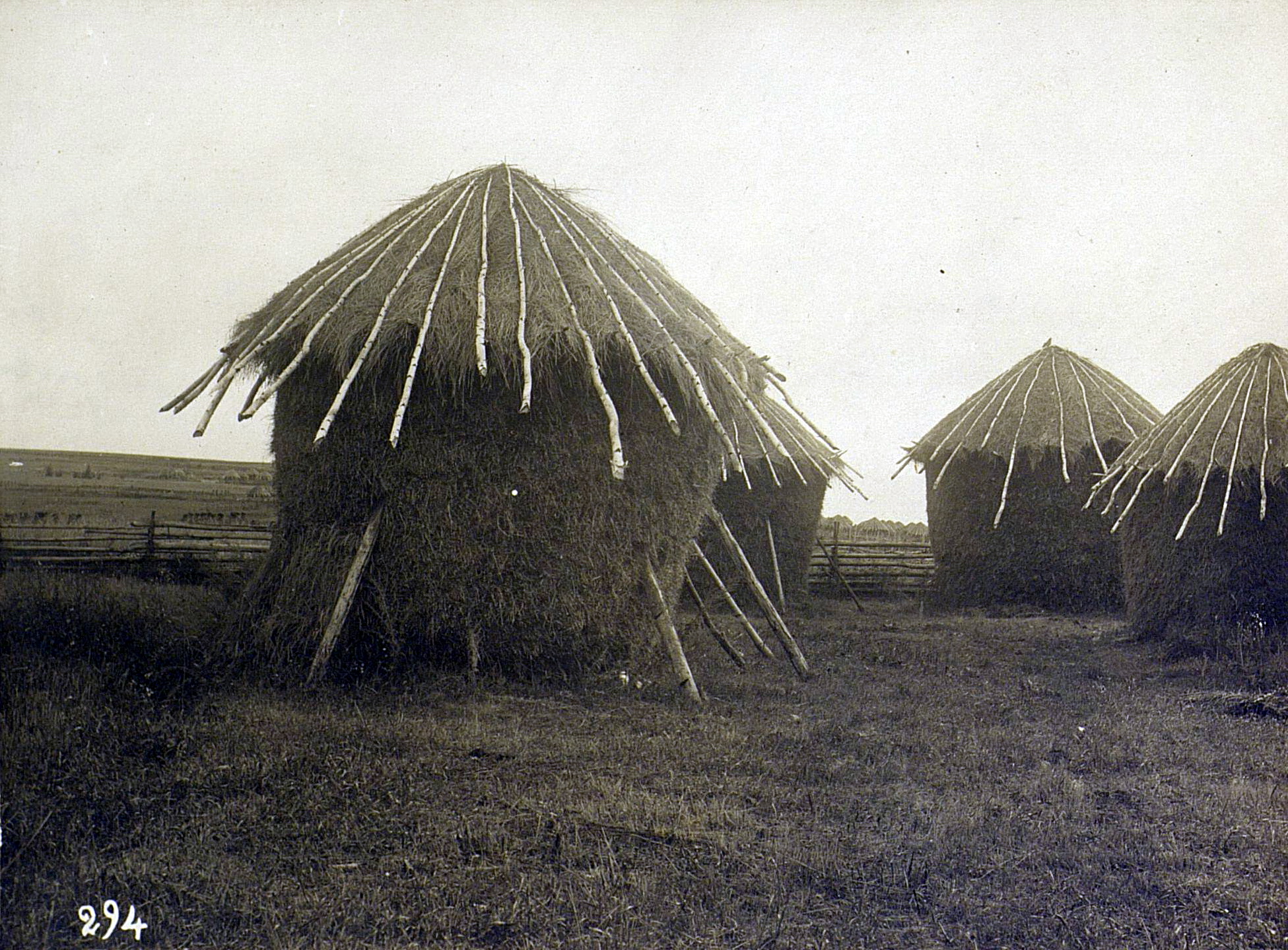 1908. Русские Оренбургской губернии на снимках Михаила Антоновича Круковского. Часть 8 - свежие новости на Toplenta по теме Граф