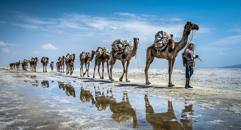 «Феномен Джибути»: почему нищая страна не по карману рядовым туристам - свежие новости на Toplenta по теме спутник