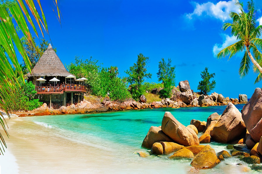 Фоторепортаж: Сейшельские острова - туристический рай в Индийском океане - свежие новости на Toplenta по теме Среда