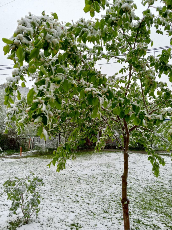 После вчерашнего снегопада в посёлке Подгорный - свежие новости на Toplenta по теме По