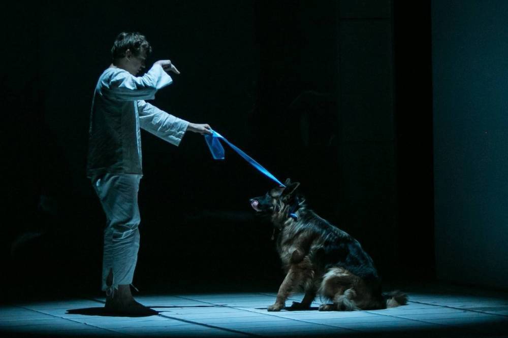 В Екатеринбурге пройдет театральный фестиваль «Фишфабрик» - свежие новости на Toplenta по теме город екатеринбург