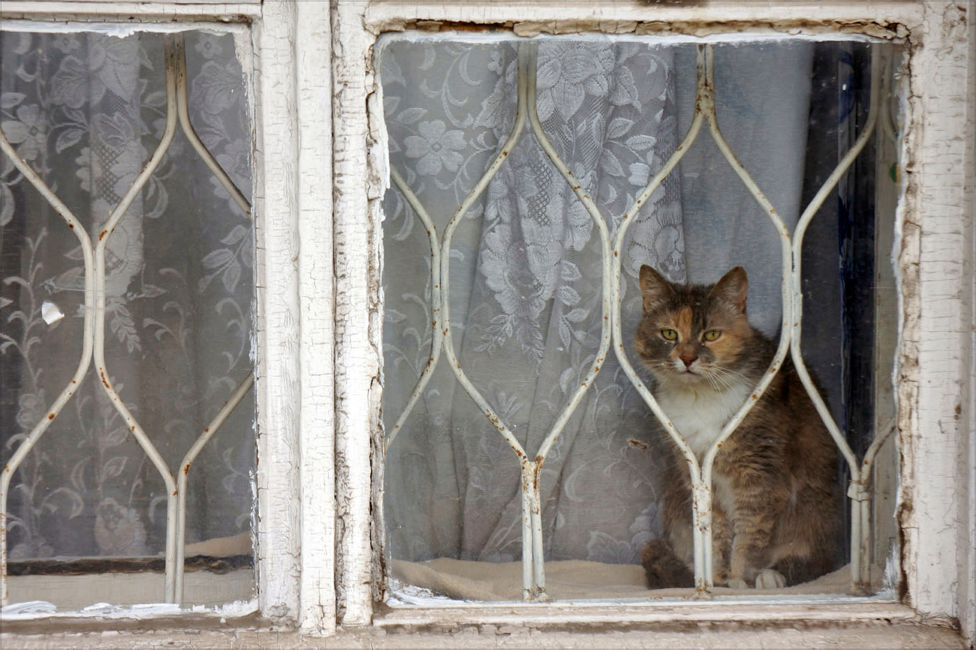 Наше время на снимках Игоря Стомахина.2010-2025. «Московских окон, эх, гасимый свет» - свежие новости на Toplenta по теме СТО