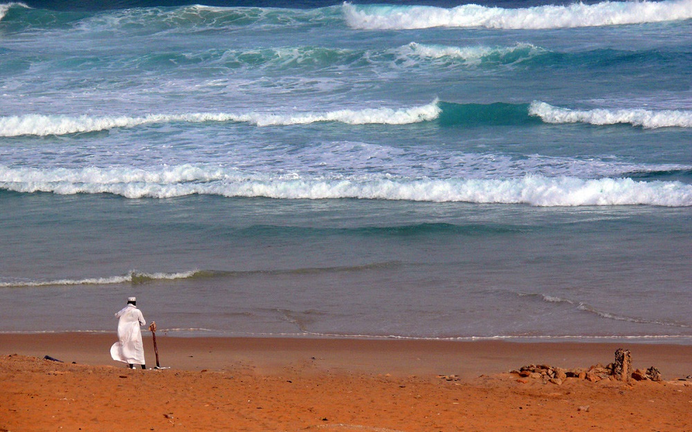 Фоторепортаж: Сенегал - страна величественных баобабов и великолепных песчаных пляжей - свежие новости на Toplenta по теме сенегал