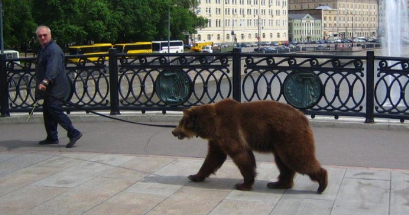 «Тем временем в…»: 20 фото с особенностями разных стран - свежие новости на Toplenta по теме Граф