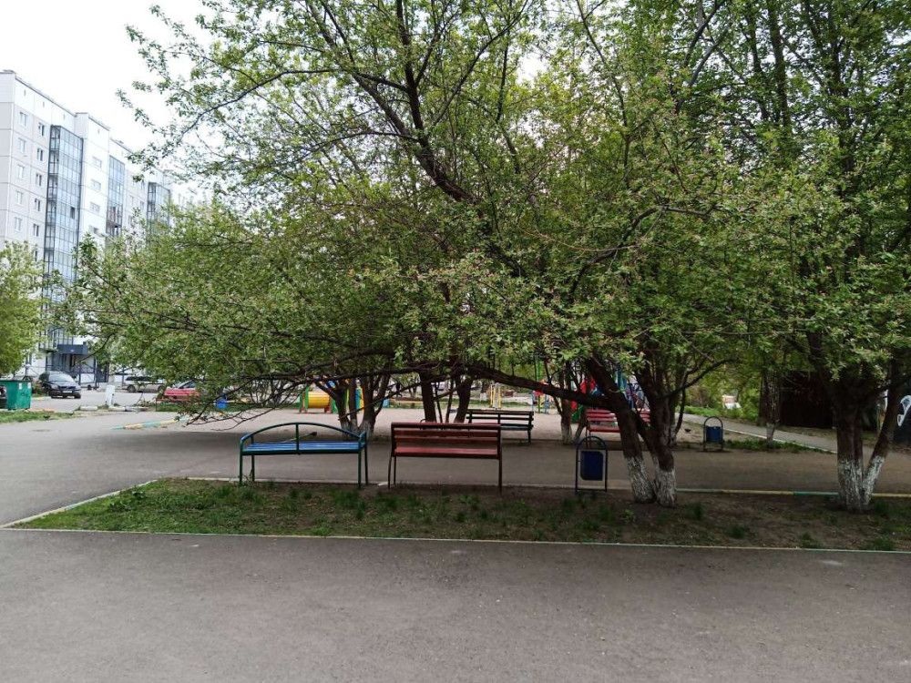 В ожидании разноцветной красоты - свежие новости на Toplenta по теме Среда