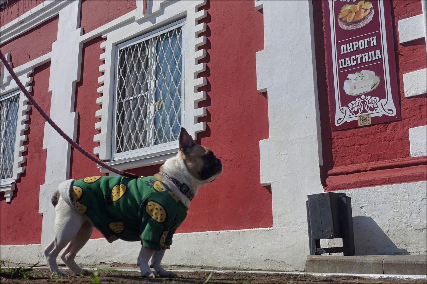 Наше время на снимках Игоря Стомахина. 2025. «Коломна». Часть 2 - похожая новость на Toplenta