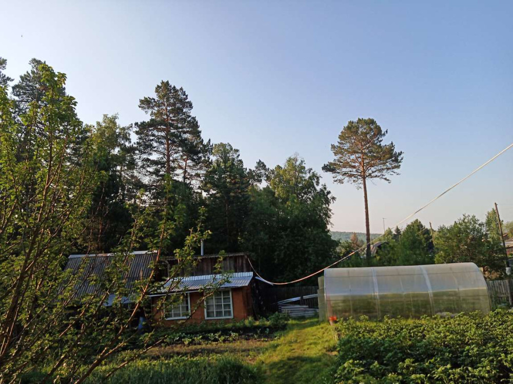 Хорошо на даче летом.. - свежие новости на Toplenta по теме ии