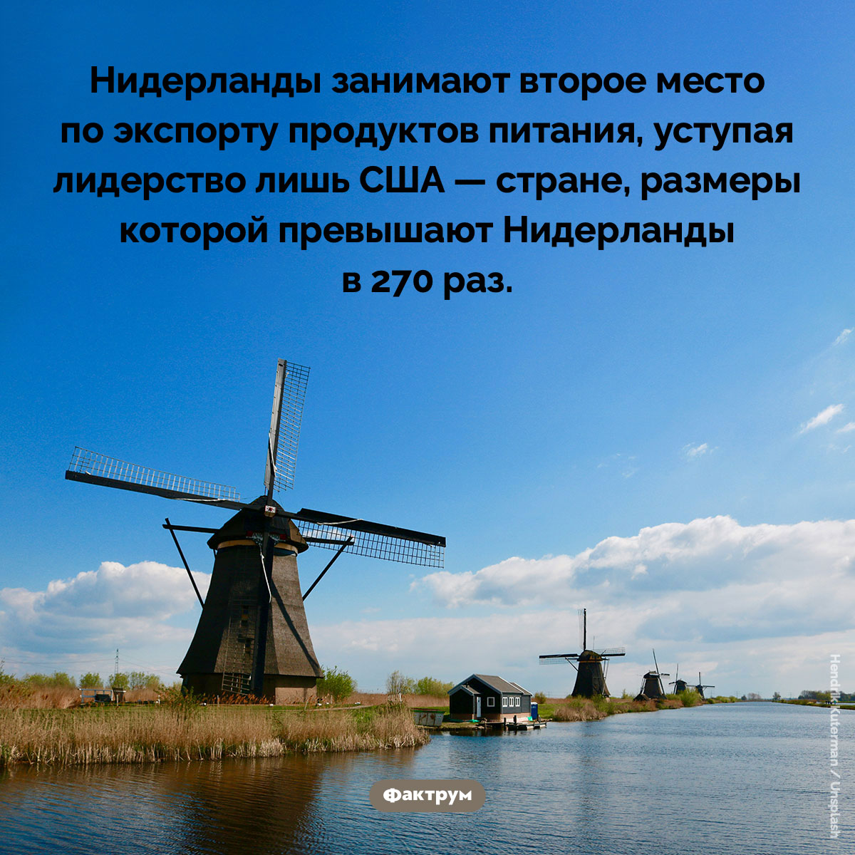 Нидерланды кормят мир - свежие новости на Toplenta по теме Факт