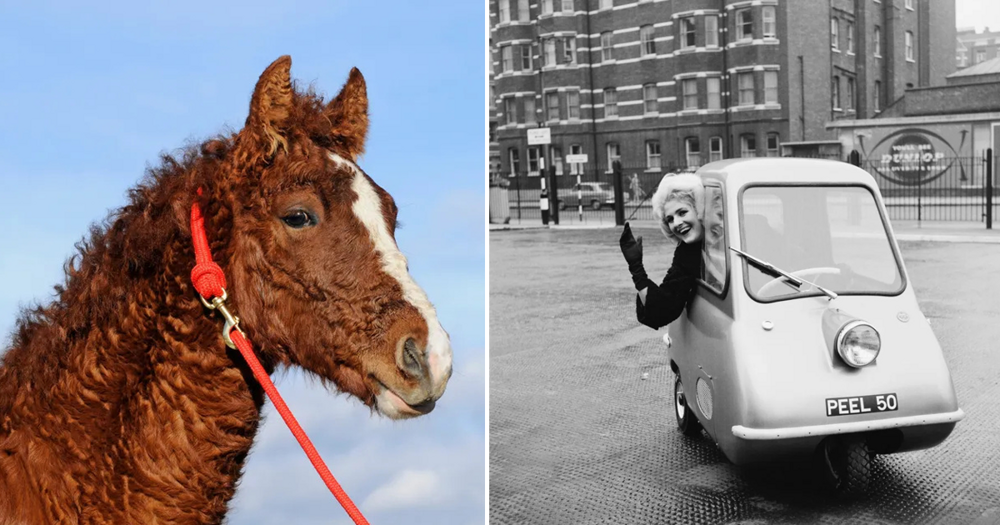 Такое не каждый день увидишь: 25 удивительных фото обо всем на свете - свежие новости на Toplenta по теме бор