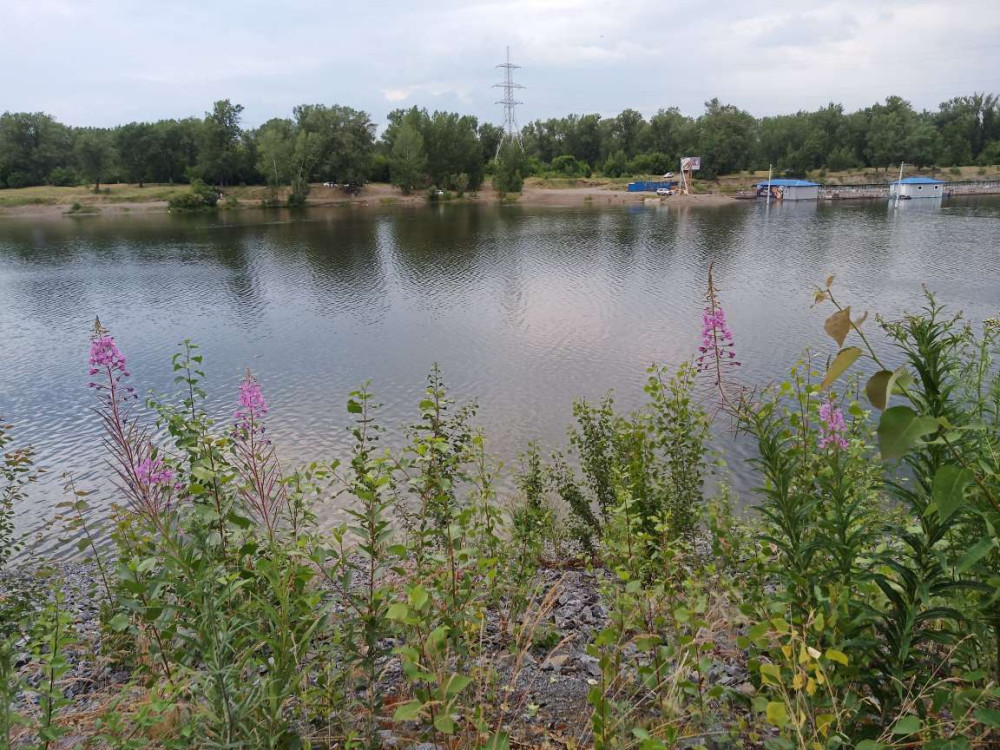 Абаканская протока в Красноярске в последний день июня - свежие новости на Toplenta по теме ии