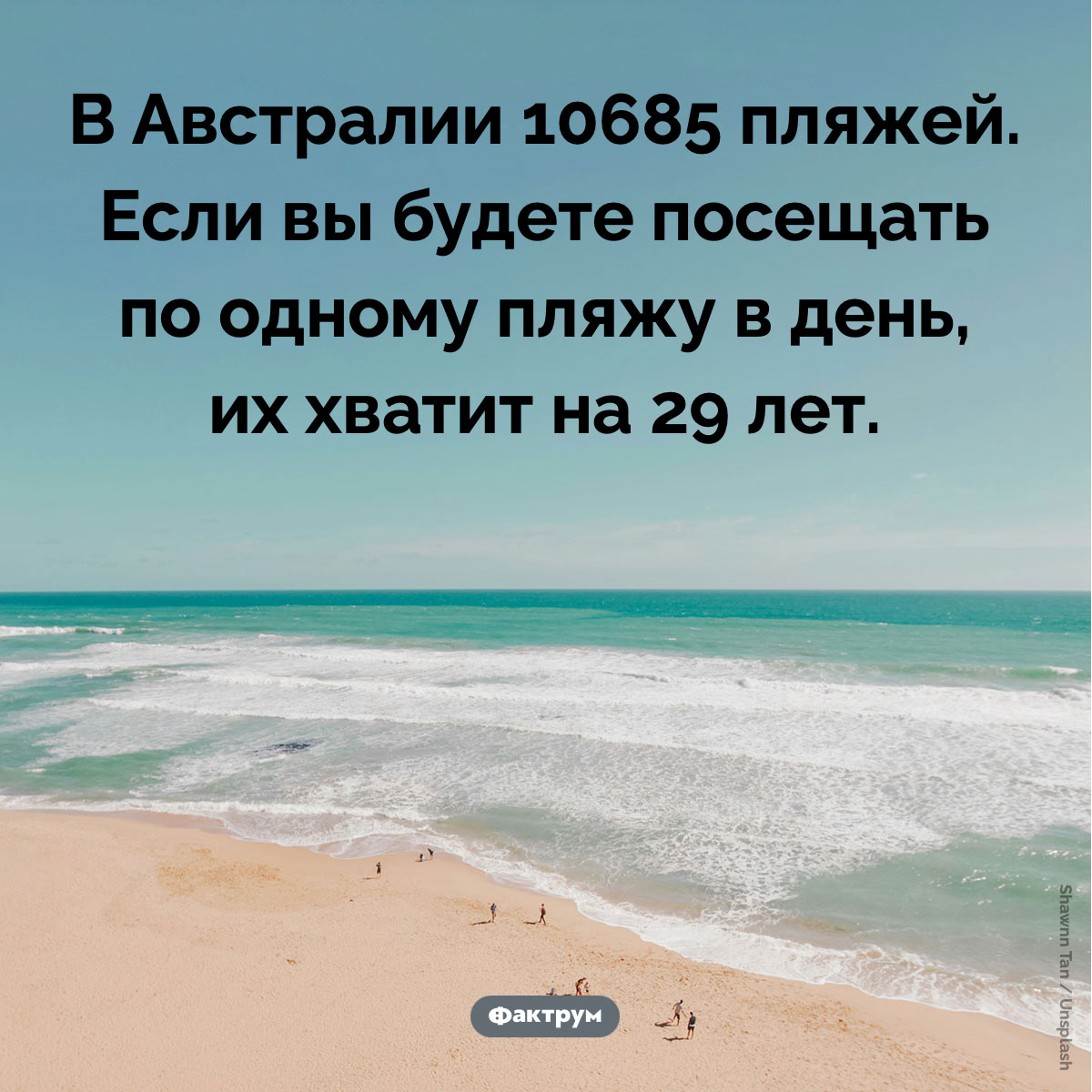 Сколько в Австралии пляжей - свежие новости на Toplenta по теме австралия