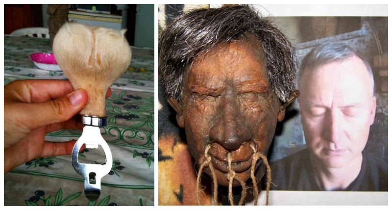 Пиво из слоновьего навоза и мошонка кенгуру — 9 самых странных сувениров - свежие новости на Toplenta по теме ПК