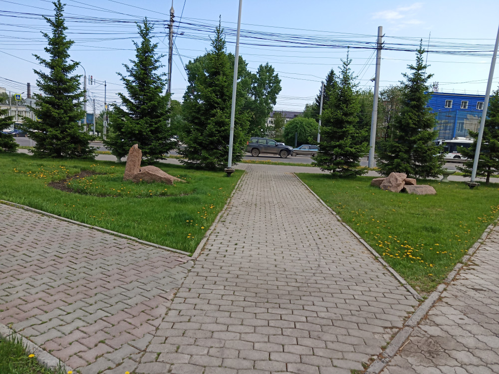 Прогулка по тихим красноярским улицам в начале лета - свежие новости на Toplenta по теме ири