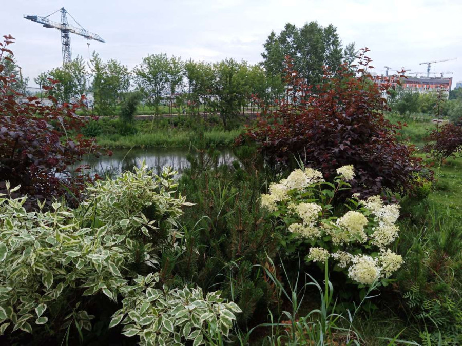 Летним утром у озера близ станции Енисей в Красноярске - свежие новости на Toplenta по теме r