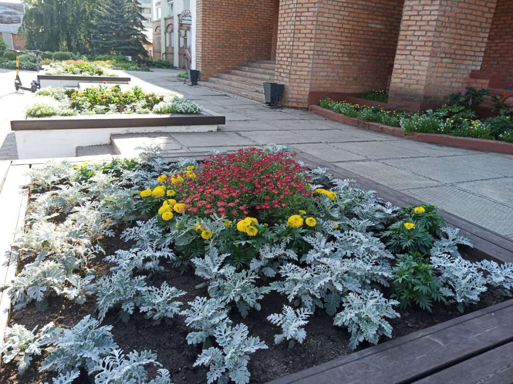 Газоны и клумбы на улице Карла Маркса в Красноярске - свежие новости на Toplenta по теме ии