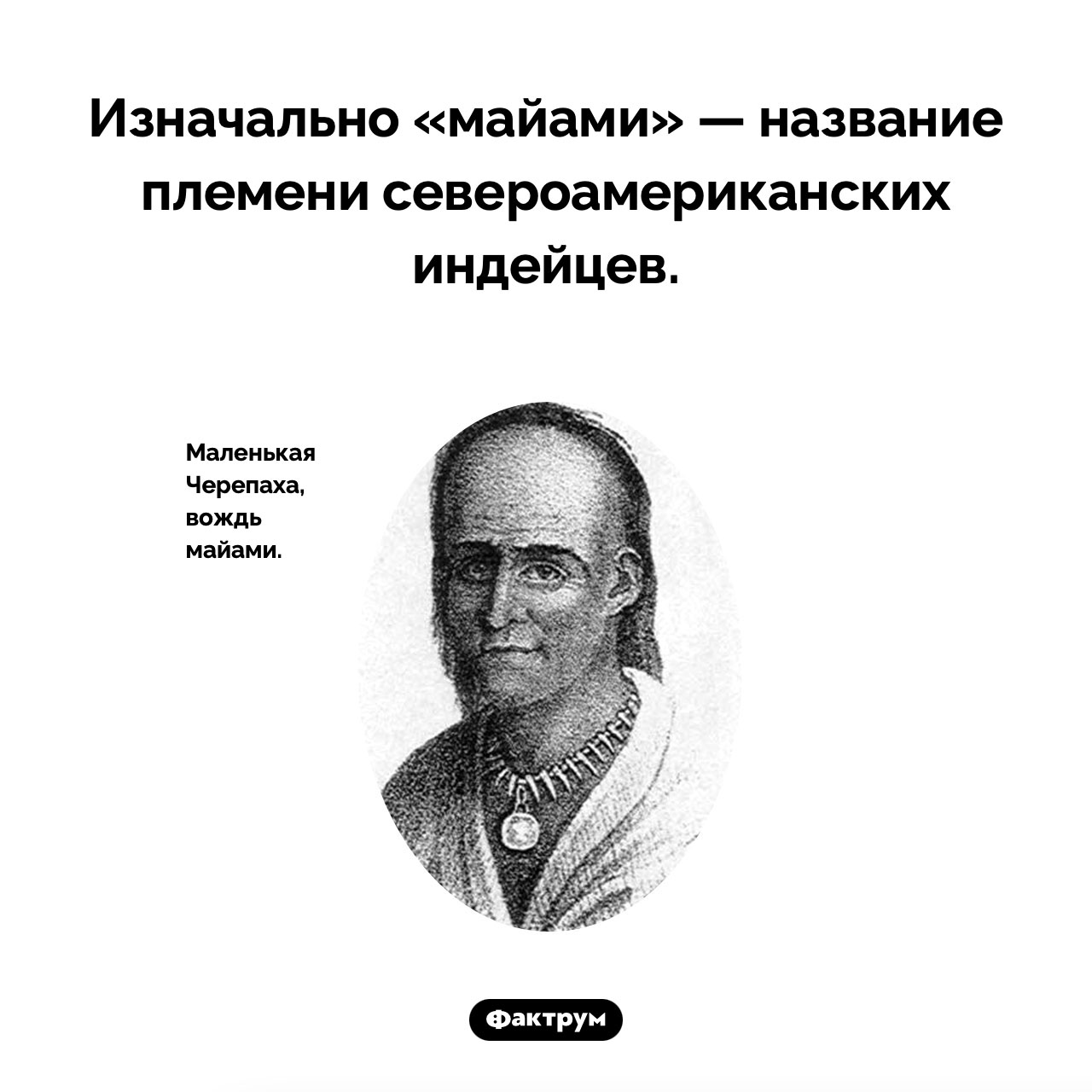 Кто такие майами - свежие новости на Toplenta по теме названия
