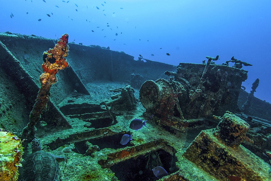 Фоторепортаж: Ангилья - прекрасные острова, созданные природой для идеального отдыха у моря - свежие новости на Toplenta по теме ии